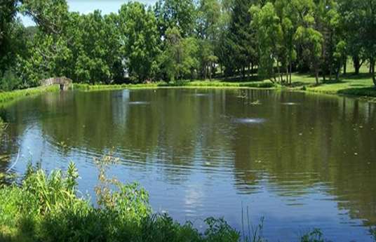 Pond Image with Aeration